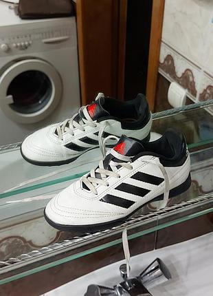 Adidas стоноги кросівки