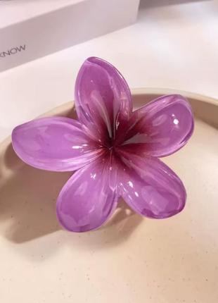 Заколка краб гавайський цветок крабик плюмерия фиолетовая