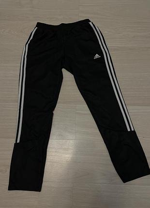 Штани adidas