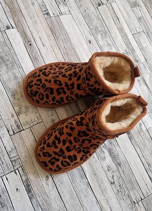Натуральные замшевые леопардовые угги ugg принт леопард натуральный замш