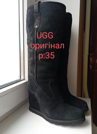 Замшевые сапоги ugg оригинал