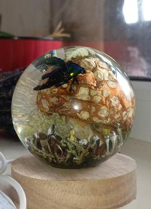 Нічник з справжнім лісом в середині