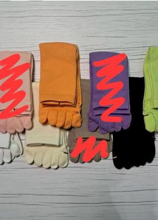 Високі однотонні бавовняні шкарпетки з окремими пальцями 36-41