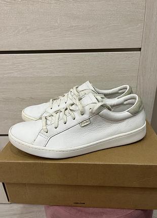 Кеди keds women's ace leather fashion sneaker, white/sage 41/10/7,5 шкіряні оригінал