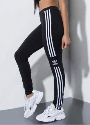 Лосіни adidas