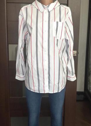 Рубашка,коттон tommy hilfiger
