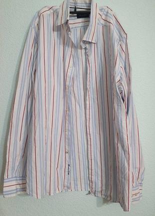 Мужская рубашка massimo dutti