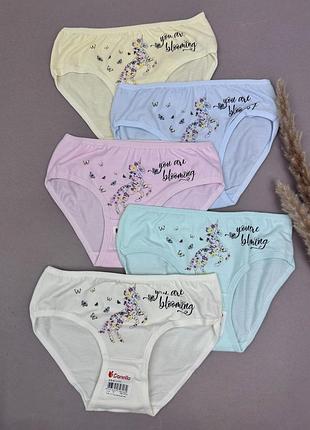 Труси для дівчинки донелла турція трусики на дівчинку трусы на девочку