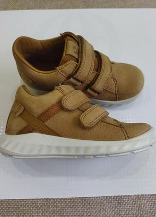 Черевички ecco