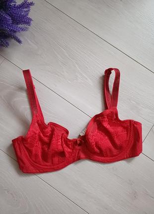 Нежный бюзгальтер состояния нового triumph