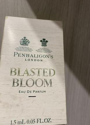 Bloom