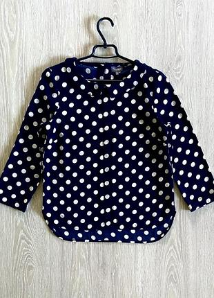 Phase eight нова блузка 3