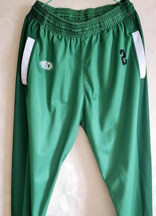 Спортивні штани bison