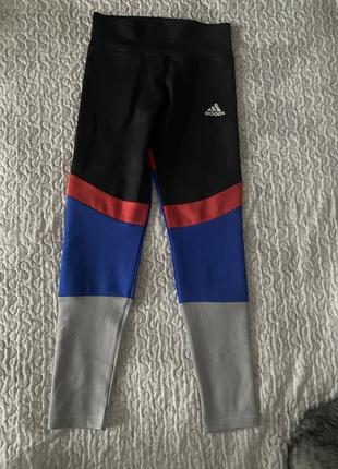 Легінси лосини adidas