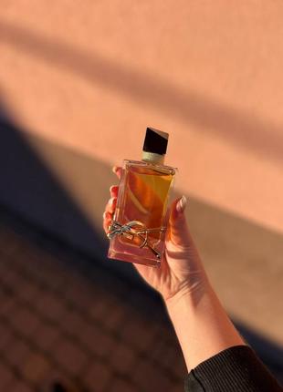 بناطيل قصيرة للرجال من Saint Laurent 🧡