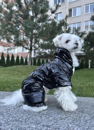 Одежда для собак, комбинезон для собак