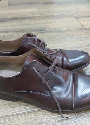 Туфлі чоловічі натур.шкіра dune