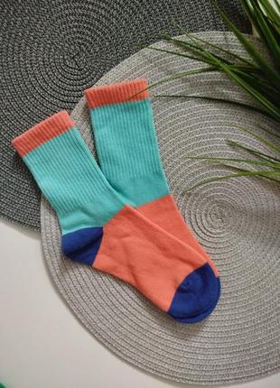 Носки primark