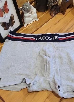 Трусы lacoste