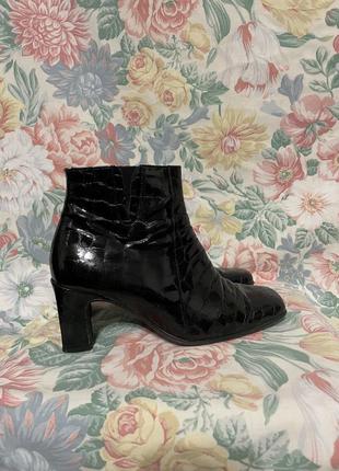 Ботильйони