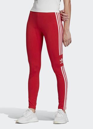 Яркие трикотажные спортивные лосины леггинсы adidas