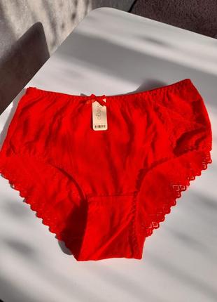 Сліпи висока посадка з мережевом