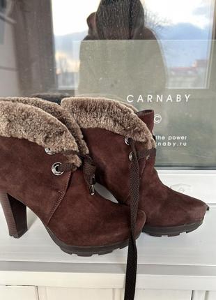 Carnaby original 6