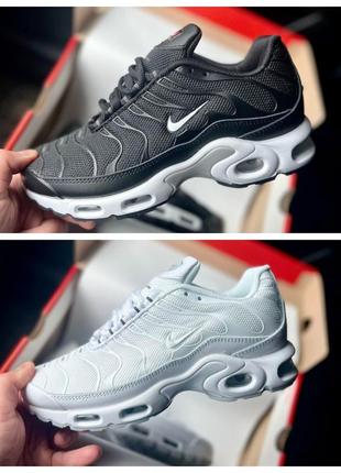 Женские/подростковые кроссовки nike frog air max plus tn