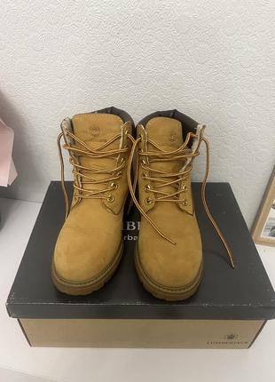 Timberland