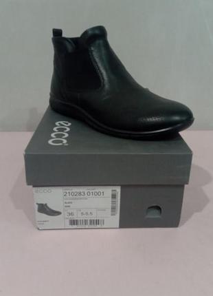 Ботинки зимние ecco babett, р.36