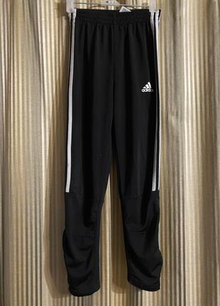 Спортивные штаны adidas
