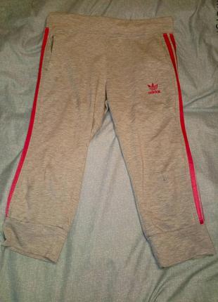 Бриджи adidas