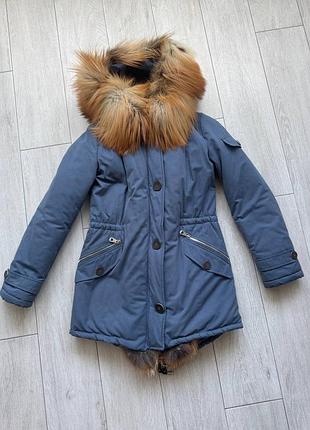 Парка лиса s