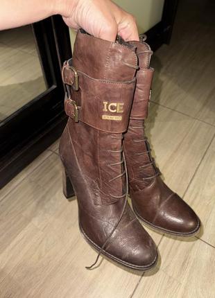 Шкіряні брендові iceberg ботинки 39розмір сапоги чоботи шкіра
