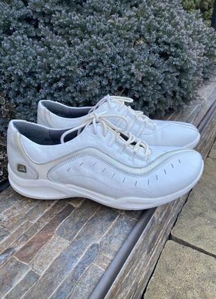 Clarks англия удобные кожаные кроссовки сникерсы натуральная кожа