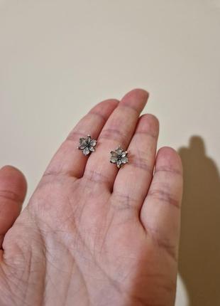 Сережки сяючий гербарій