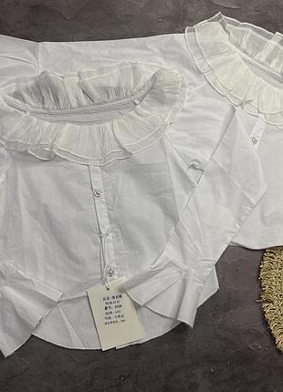 Блуза дівчинка