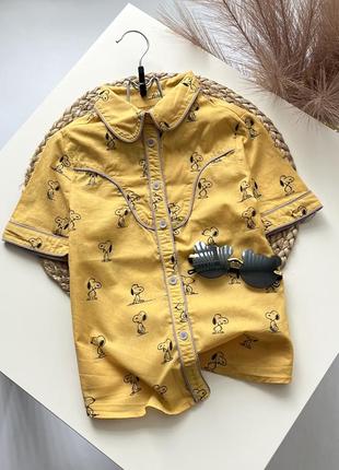 Рубашка снупи zara