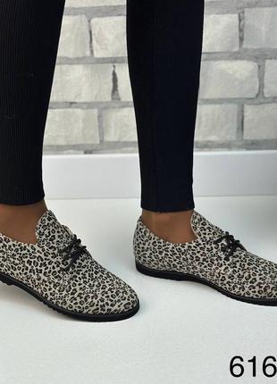 Женские туфли броги лодочки на шнуровке натуральная замша 36-41 деми леопардовый принт