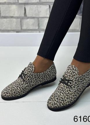 Женские туфли броги лодочки на шнуровке натуральная замша 36-41 деми леопардовый принт