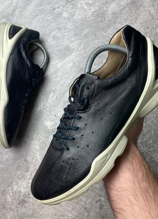Ecco biom