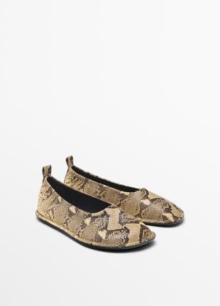 Балетки с животным рисунком