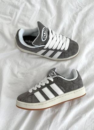 Кросівки adidas campus grey white 2