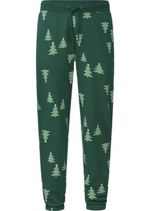 Мужские спортивные штаны livergy p.l 52-54