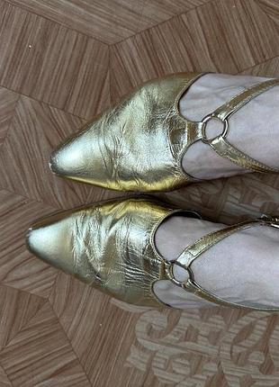 Стільні золоті слінгбеки