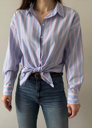 Сорочка в смужку, трендова сорочка, голуба сорочка в полоску, сорочка в смужку,   голуба сорочка