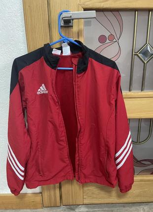 Червона вітровка adidas