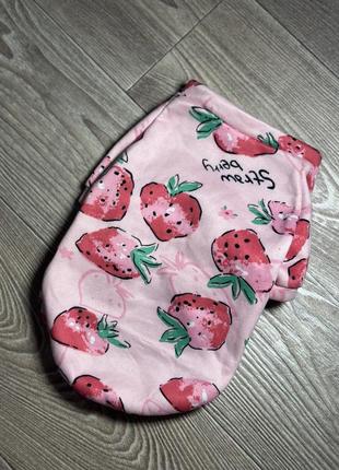 Кофта для французская французского бульдога или мопса