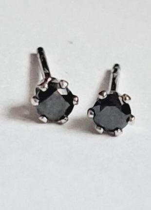 Сережки гвоздик