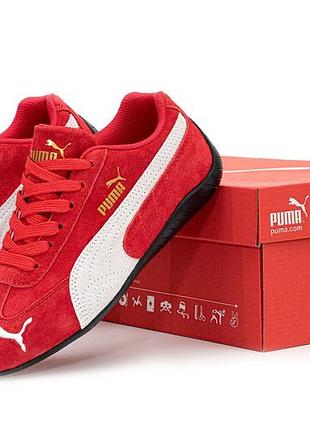 Karl Lagerfeld and being a hybrid puma ambassador